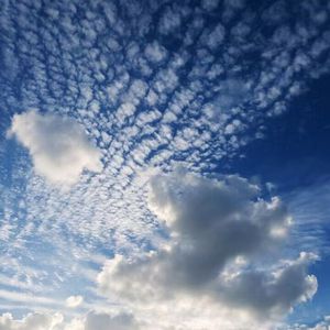 91短视频在线观看免费最新
